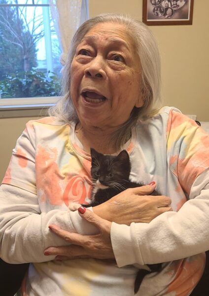 senior lady holding kitten at heartwood place