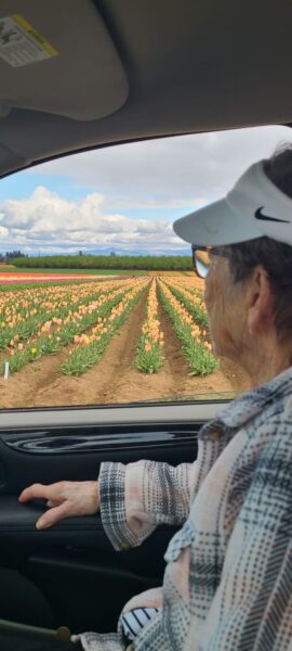 photo of senior women looking out of car during life enrichment outing to tulip fields 